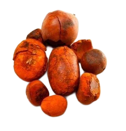 PRIME%20FARMERS%20SA