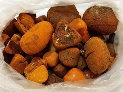 Buy-Ox-Cow-Gallstones-07